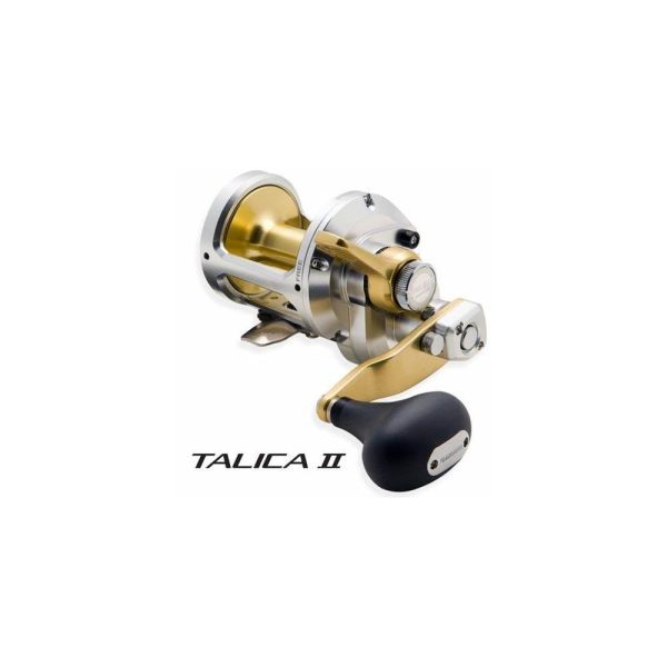 TALICA 12
