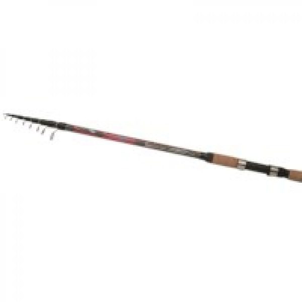 CANNE TELESCOPIQUEB VENGEANCE 20.60G
