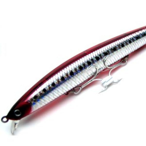 DAIWA SHINER SL-F 28 G CHART IWASHI