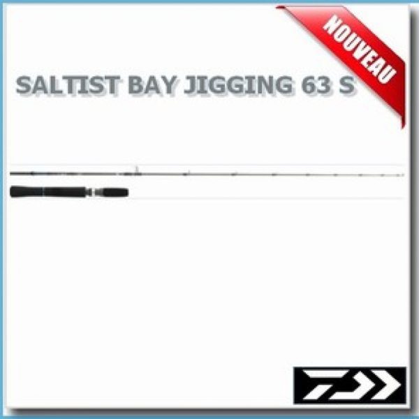 CANNES DAIWA SALTIST JIGGING 2 BJ63