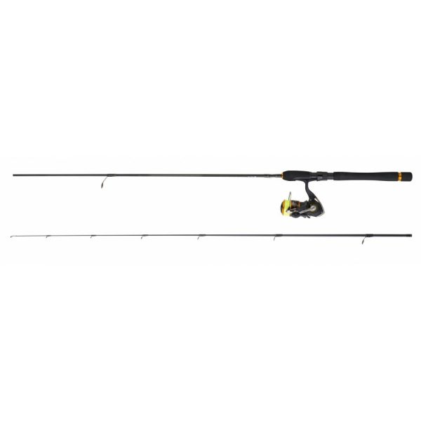 ensemble canne moulinet daiwa