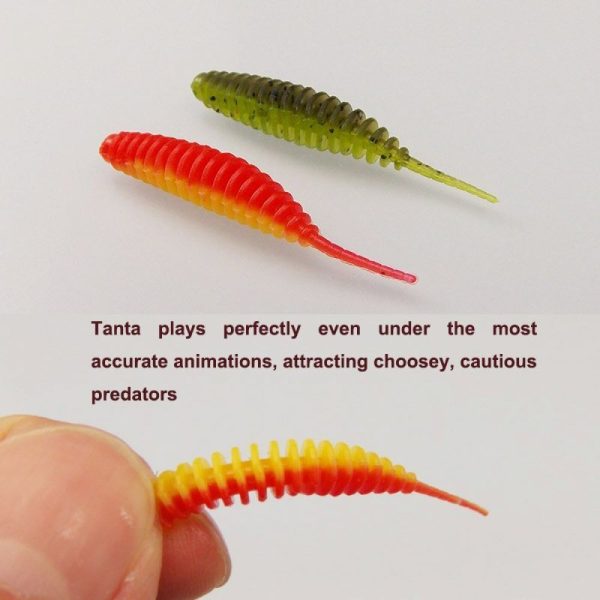 TANTA TROUT ROSE