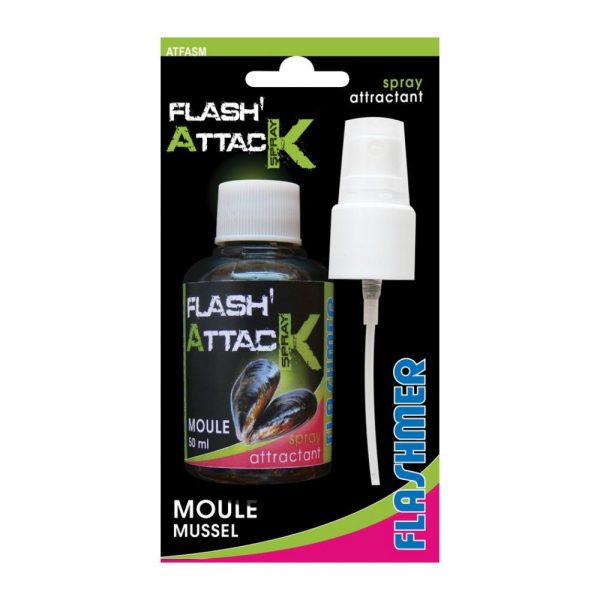 FLASH ATTACK MOULE