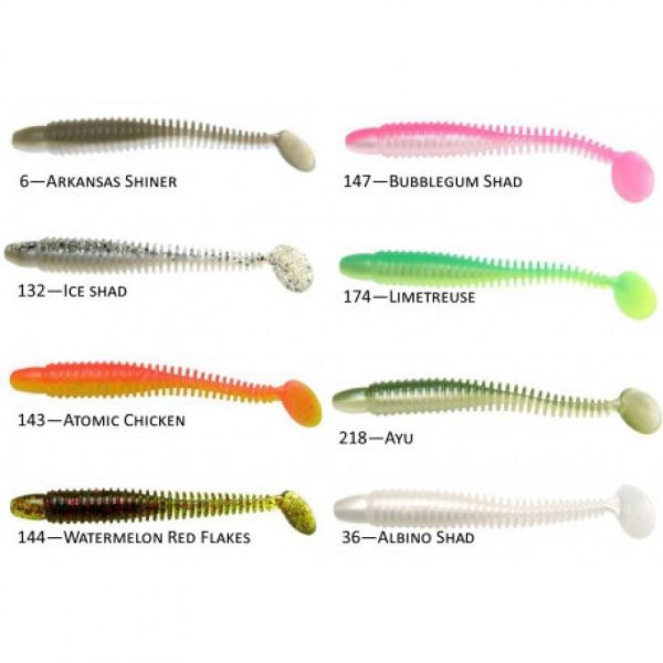 RIBSTER ALBINO SHAD