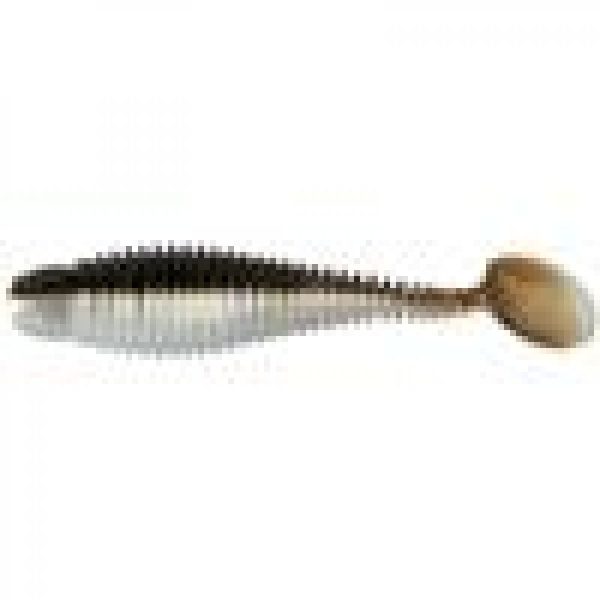 GRUBSTER ARKANSAS SHINER 2