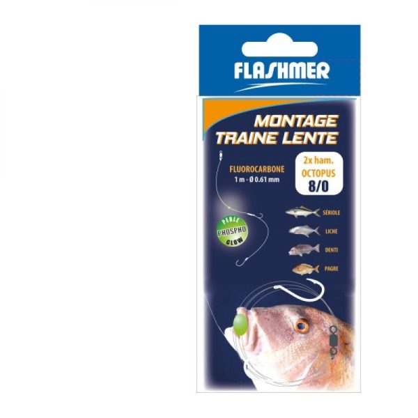 MONTAGE TRAINE LENTE 3/0