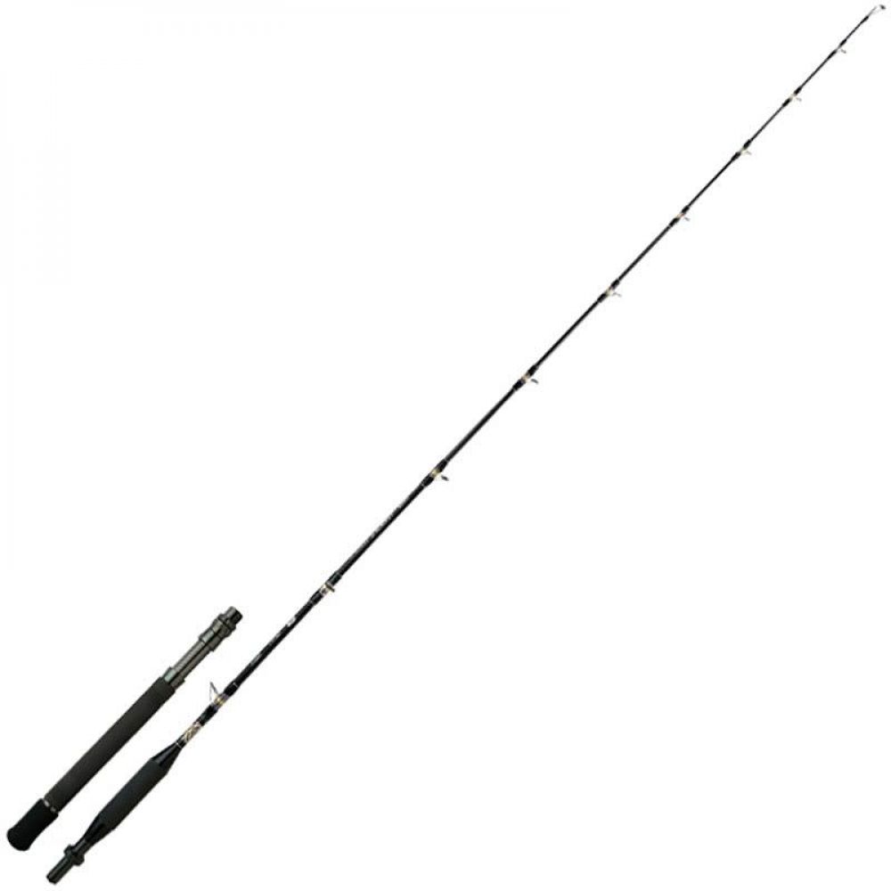 big_2267-1.jpg ROD TYRNOS B TROLLING LITE 2.08M 6'10 12LB – Image 1