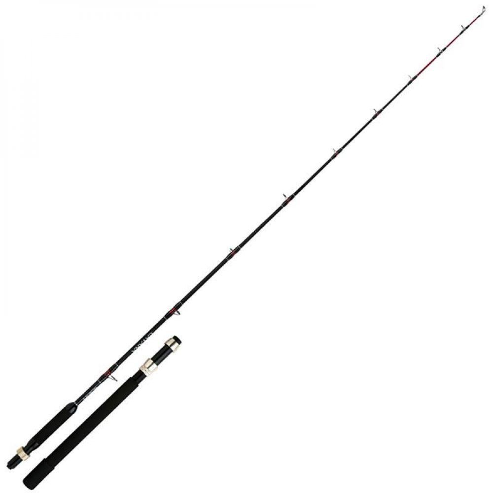 big_2268-1.jpg ROD CATANA DX TROLLING LITE 2.08M 6'10 12LB – Image 1