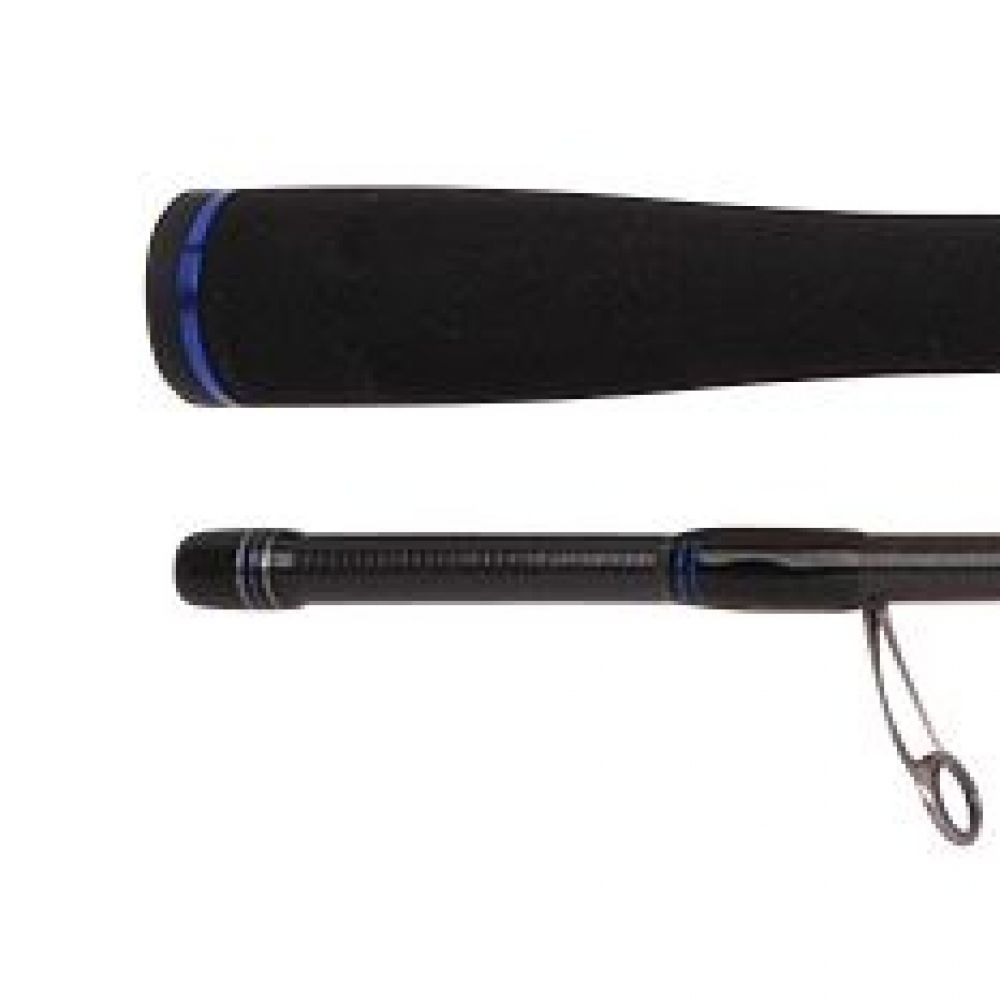 big_2422-1.jpg