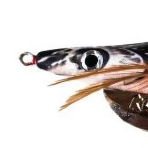 KILLER PRAWN NAT GLOW 3.5 CHBL