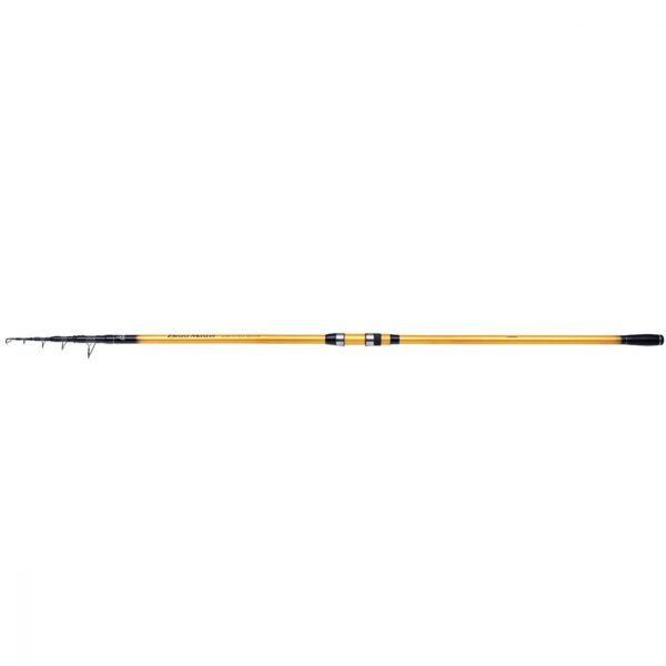 CANNE SHIMANO BEAST MASTER SURF FX TELE 425 170G
