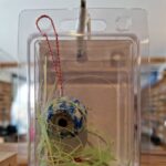 MADAI DRAGON EYE 135G BLEU BLANC