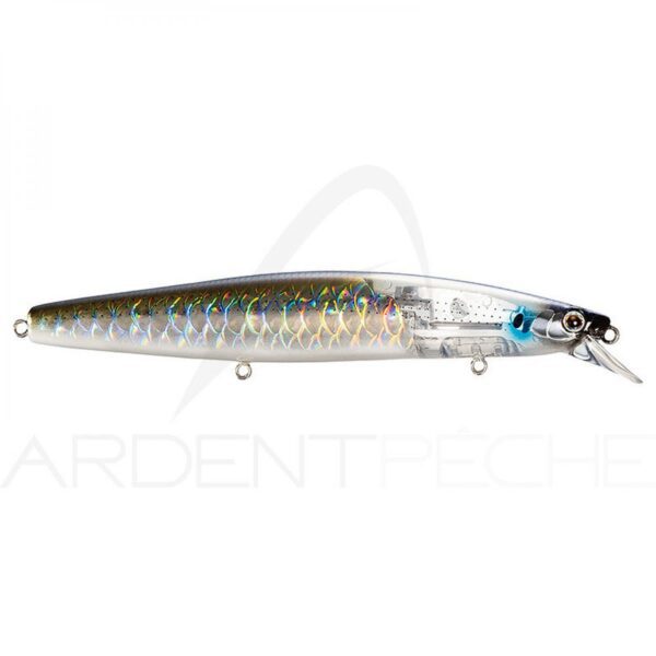 SHIMANO SILENT ASSASSIN FLASH BOOST 129S 002 BORA